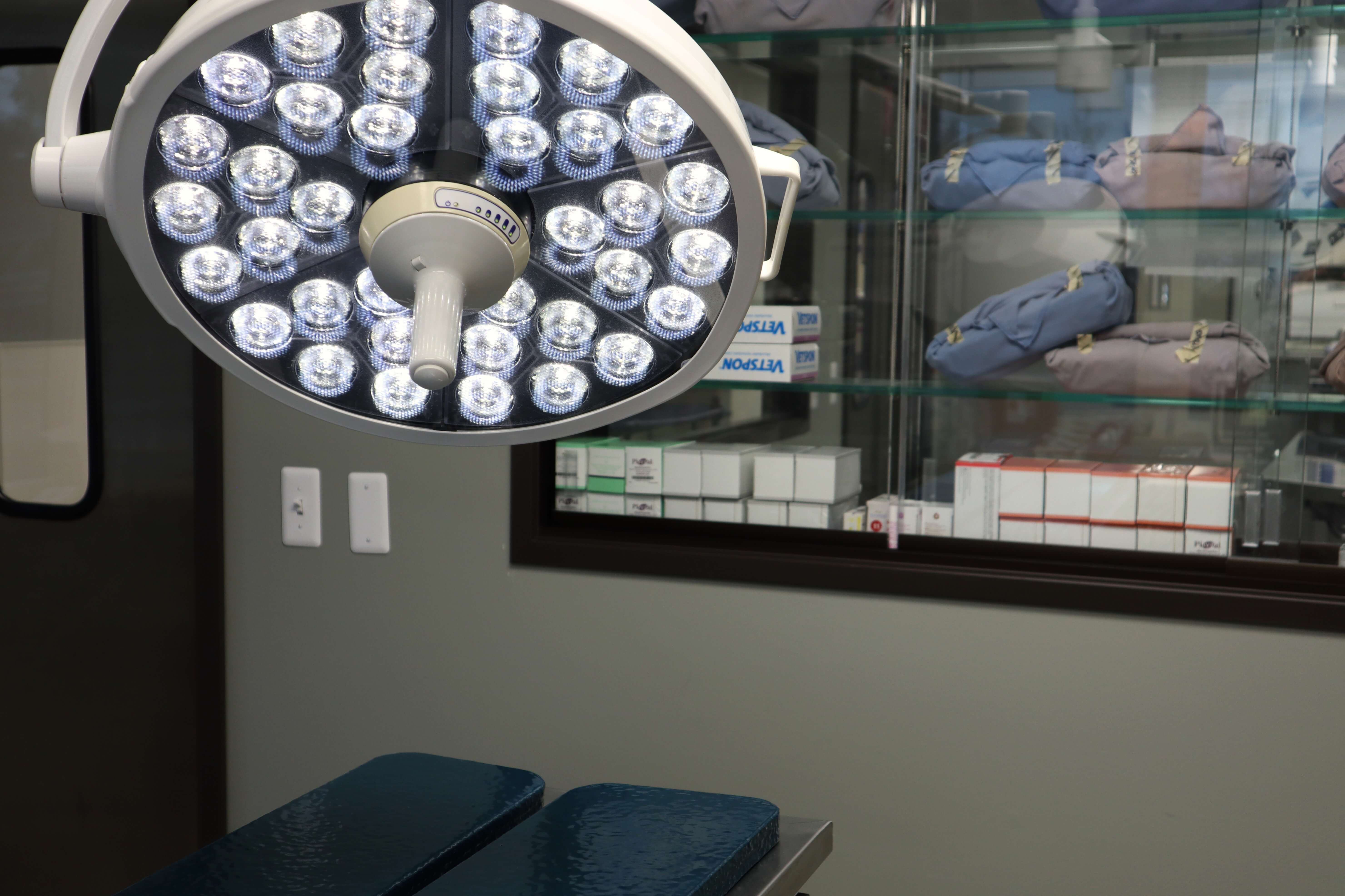 Dog Surgery and Cat Surgery in Bloomfield Hills, MI at DePorre Veterinary Hospital