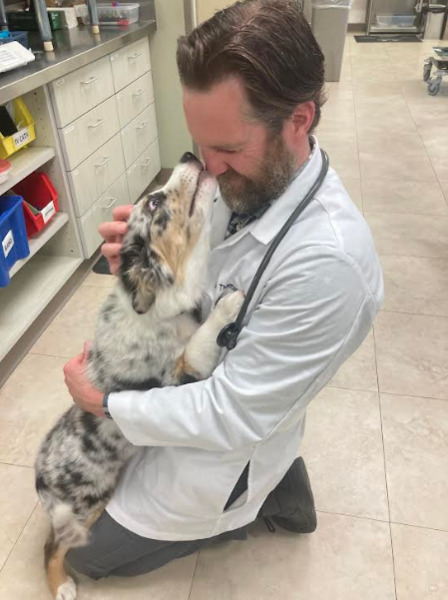 Dr. Thomas DeHondt - TPLO Surgery Veterinarian in Bloomfield Hills, MI