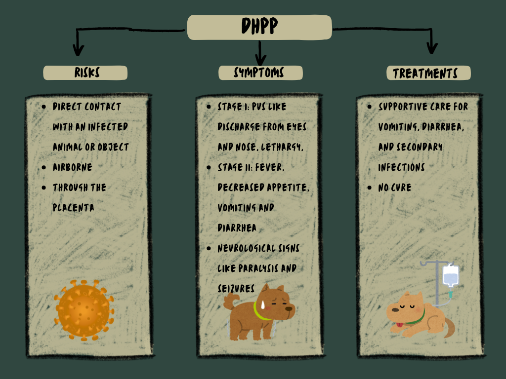 Distemper (DHPP) Vaccine - Core Vaccines for Dogs in Bloomfield Hills, MI