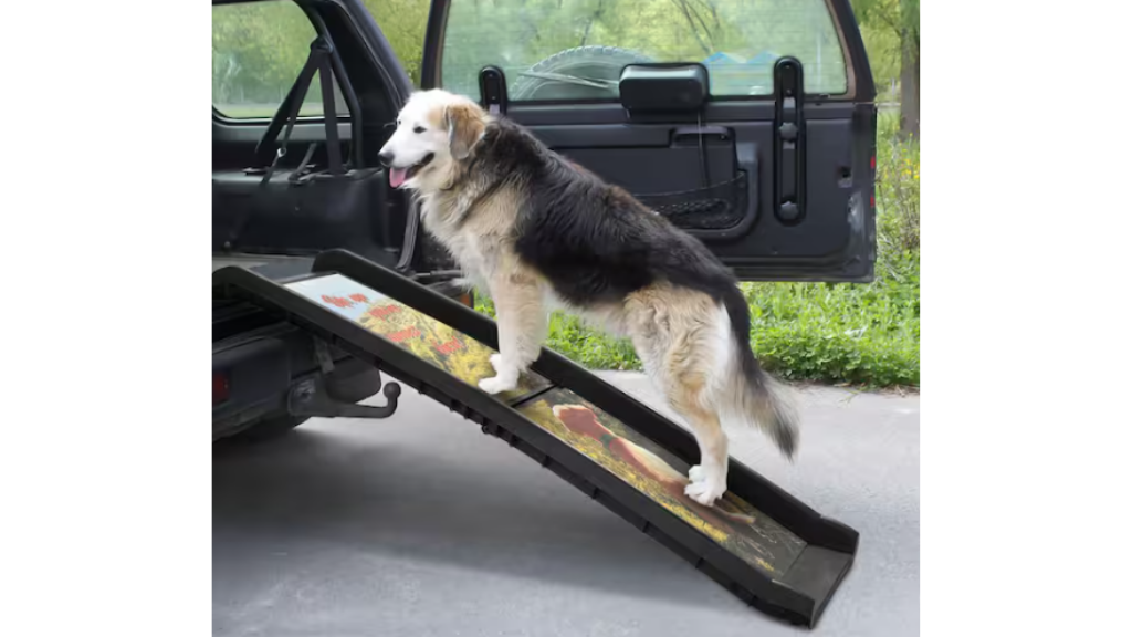 Senior Dog Care in Bloomfield Hills, MI