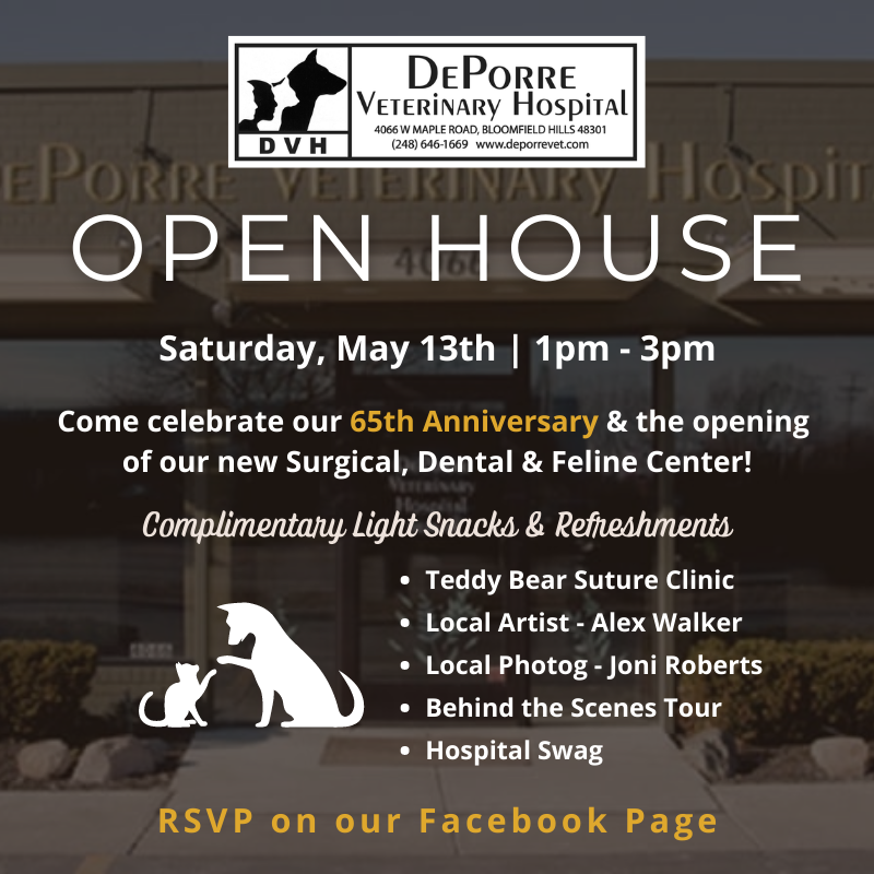 Veterinary clinic near me hot sale open