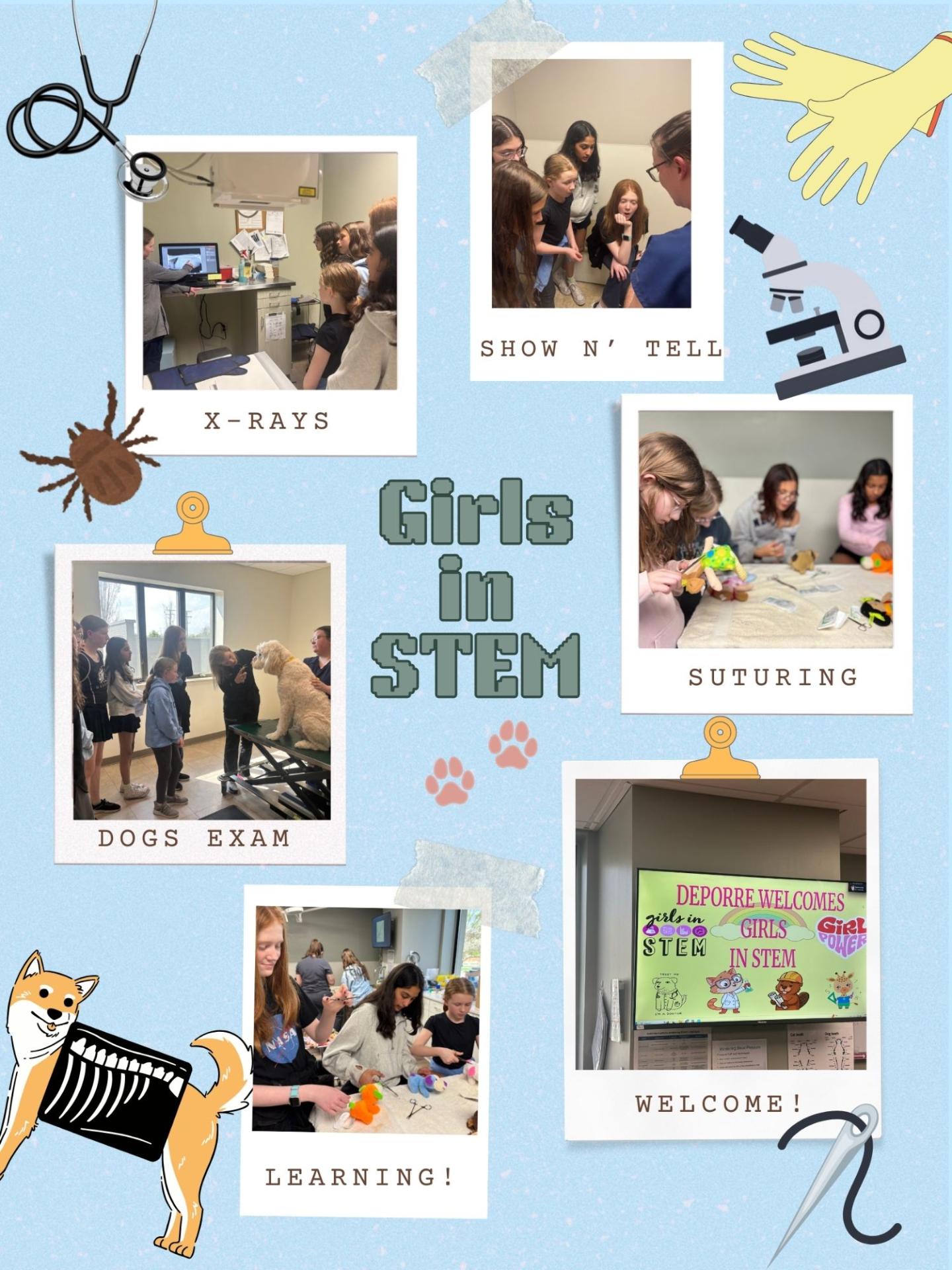 Girls in STEM Visit Deporre Vet Hospital in Bloomfield Hills, MI