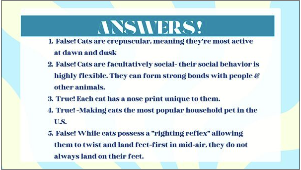 Pop Quiz - Cat Facts Answers