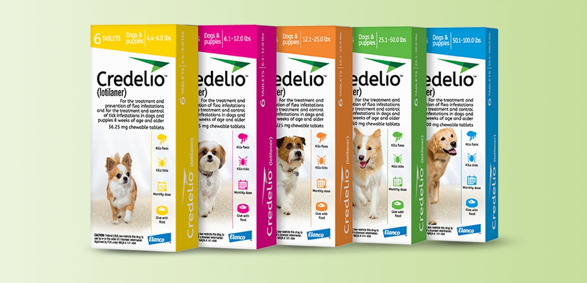 Credelio for Dogs Available at DePorre Veterinary Hospital in Bloomfield Hills, MI