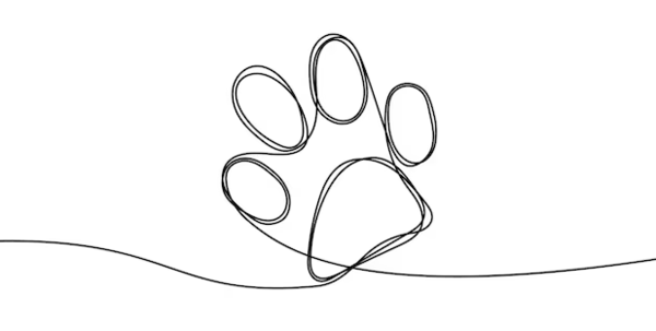 Deporre Veterinary Hospital in Bloomfield, MI - Veterinary Pet Dental Care