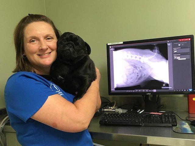 Diagnostic Imaging