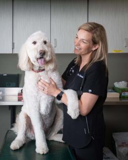 Dr. Kristen Fox