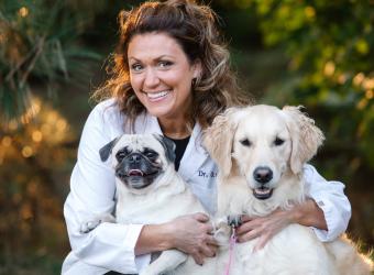 Dr. Corey Gut featured on Fox 2 Detroit for mystery dog illness