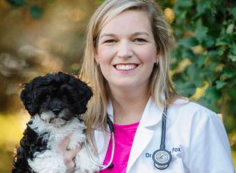Dr. Kristen Fox&#039;s Interview with Fox 2 News on Parvovirus Outbreak