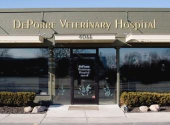 DePorre Veterinary Hospital is featured in a Downtown Business Matters article