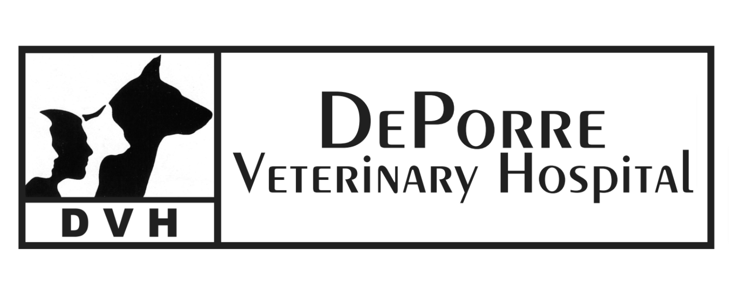 DePorre Veterinary Hospital